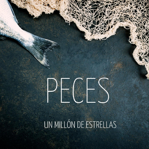 Un Millón de Estrellas