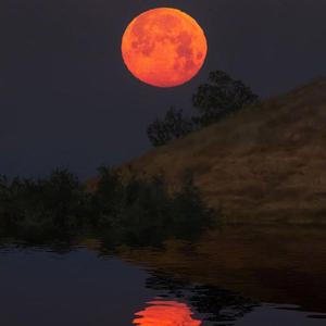 没有感情的情歌（Prod By Ljx Ghost）