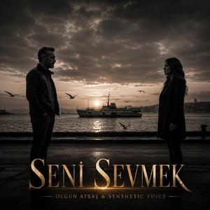 Seni Sevmek