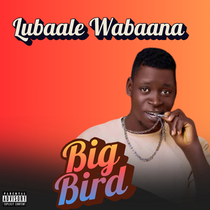 Lubaale Wabaana