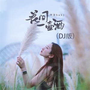 花间一壶酒（DJ版）
