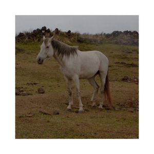 *̥˟‧̩̥·‧•̥̩̥͙‧·‧̩̥˟*̥˟‧̩̥·‧•̥̩̥͙‧·‧̩̥˟*̥