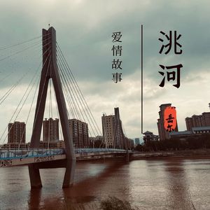 洮河爱情故事DJ