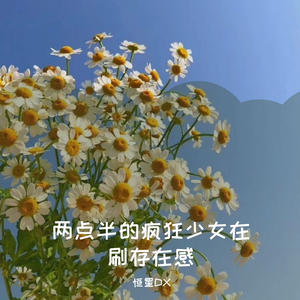 两点半的疯狂少女在刷存在感