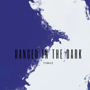 Moth To a Flame x After Hours (Radio Edit)