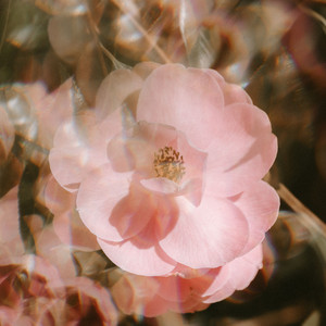 不明意义的剖白