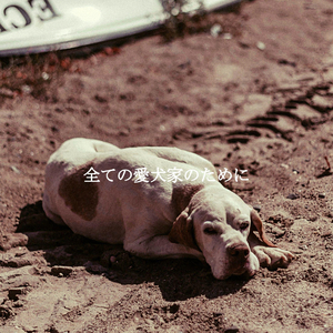 Fun Workspaces (Ambience)