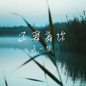 还爱着你