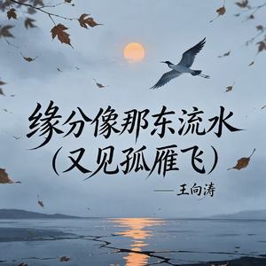 缘分像那东流水（又见孤雁飞）