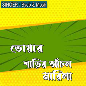 তোয়ার শাড়ির আঁচল মারিলা