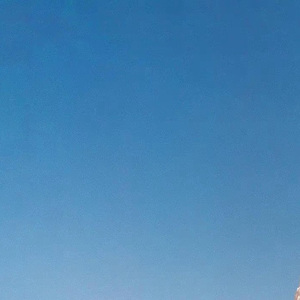 Birds of a Feather （Cover）