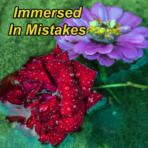 Immersed In Mistakes