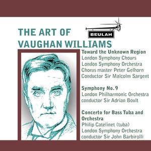 Concerto for Bass Tuba and Orchestra in F Minor: 3. Finale - Rondo alla tedesca - Allegro