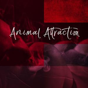 Sexy Evening Vibrations