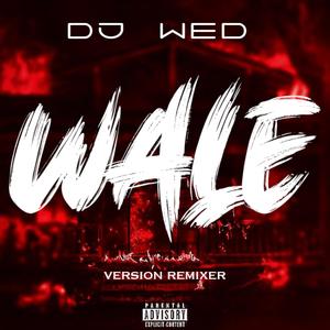 WALE (afro remix dj wed)