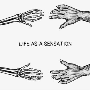 LIFE AS A SENSATION