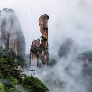 出山（洛天依）