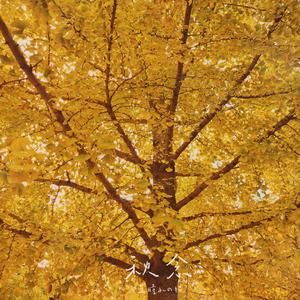 给电影人的情书