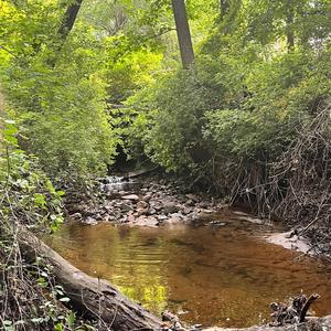 The pythagorean theorem choked me out/Jizzly summer