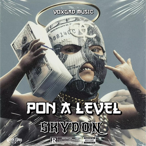 Pon a Level