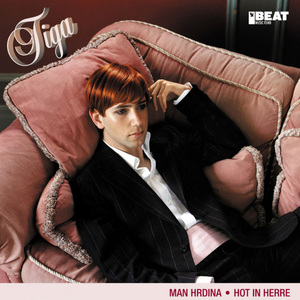 Hot in Herre (Hereldeduke Remix)