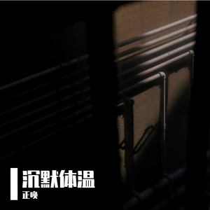 沉默体温