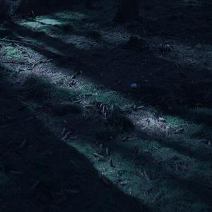 worth (feat. angelus)