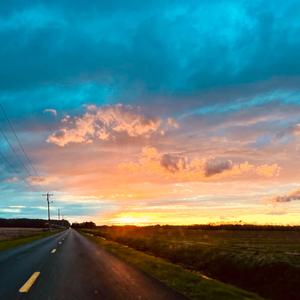 Knever New Y and X were Z