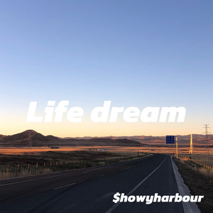 life dream（prod.choisimadethis）