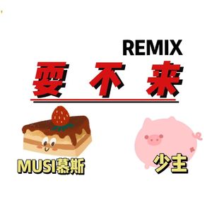 耍不来REMIX