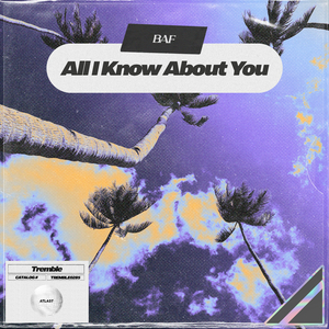 All I Know About You
