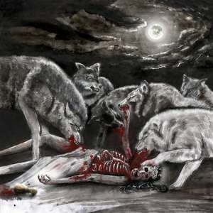 Introduction (The Broken Talon)