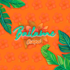Báilame