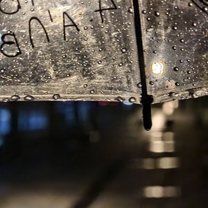 情绪总是雨天