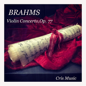 Violin Concerto, Op.77: 3. Allegro giocoso, ma non troppo vivace