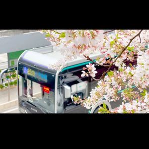 离别在公交站台旁边