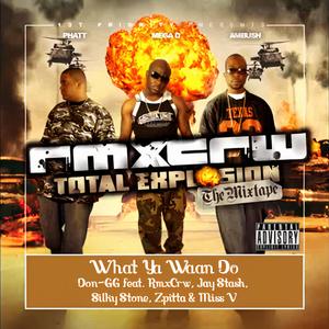 What Ya Waan Do (feat. RmxCrw, Jay Stash, Silky Stone, Zpitta & Miss V)
