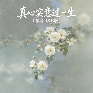真心实意过一生(福音R&B版)