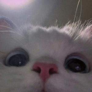 arrival`Prod.Tsurreal