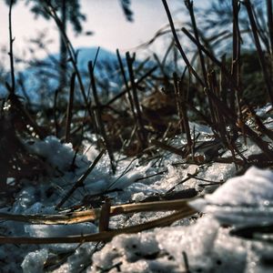 蜘蛛糸モノポリー（Pure instrument remix）