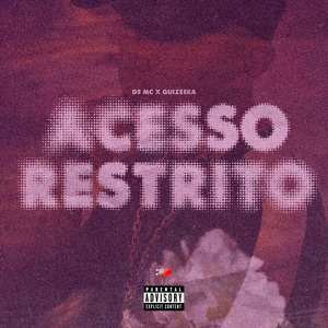 Acesso Restrito