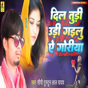 Dil Tudi Udi Gailu Ye Goriya