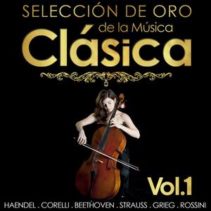 Concierto para Organo y Orquesta in D Minor, Op. 74: No. 10 - Allegro così così