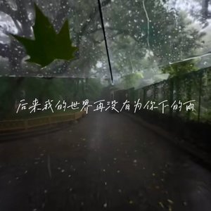 后来我的世界，再没有为你下的雨
