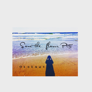 Save the flavorPt5-insturmental-