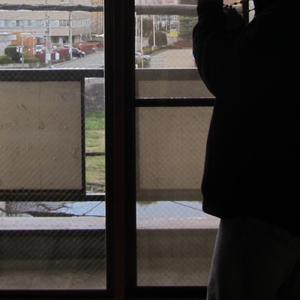 僕が