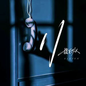 11(提毛版)