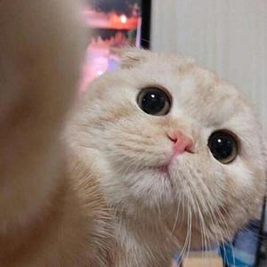 【有可能的夜晚】让yes代替所有no 钢琴即兴