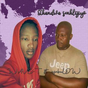 Sthandwa Senhliziyo