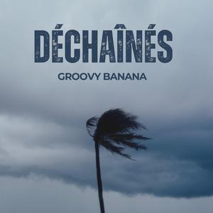 Déchaînés